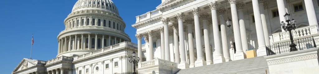 government - DeVault Cyber Plus, LLC. © 2024